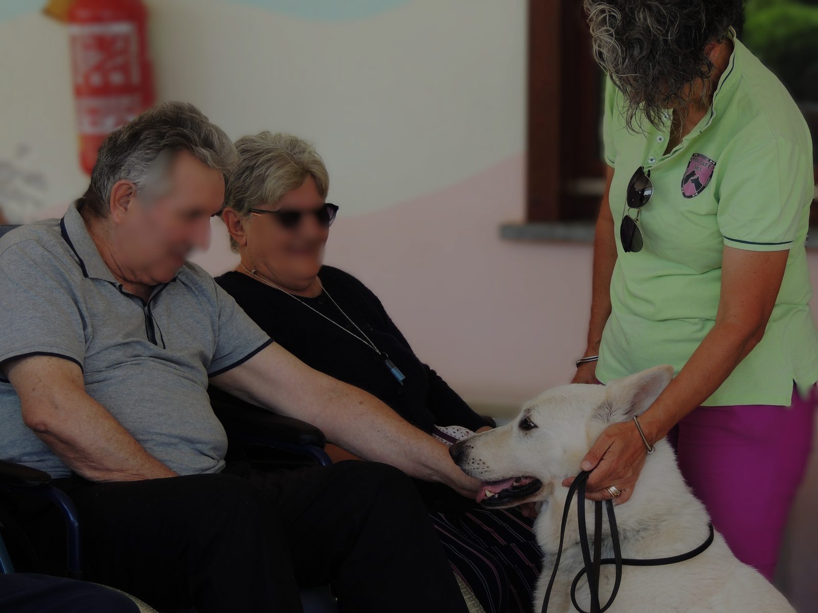 Incontro con i cani dell'associazione in una struttura per anziani