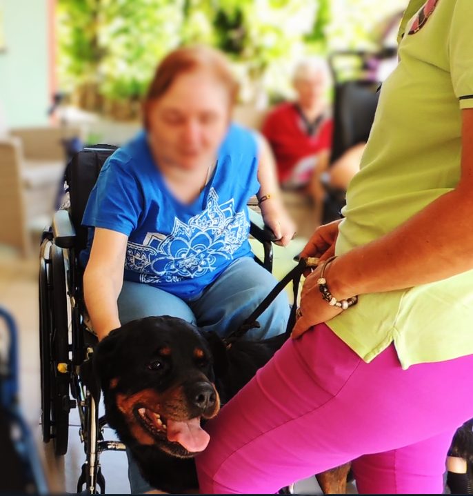 Rottweiler accanto a una signora in carrozzina