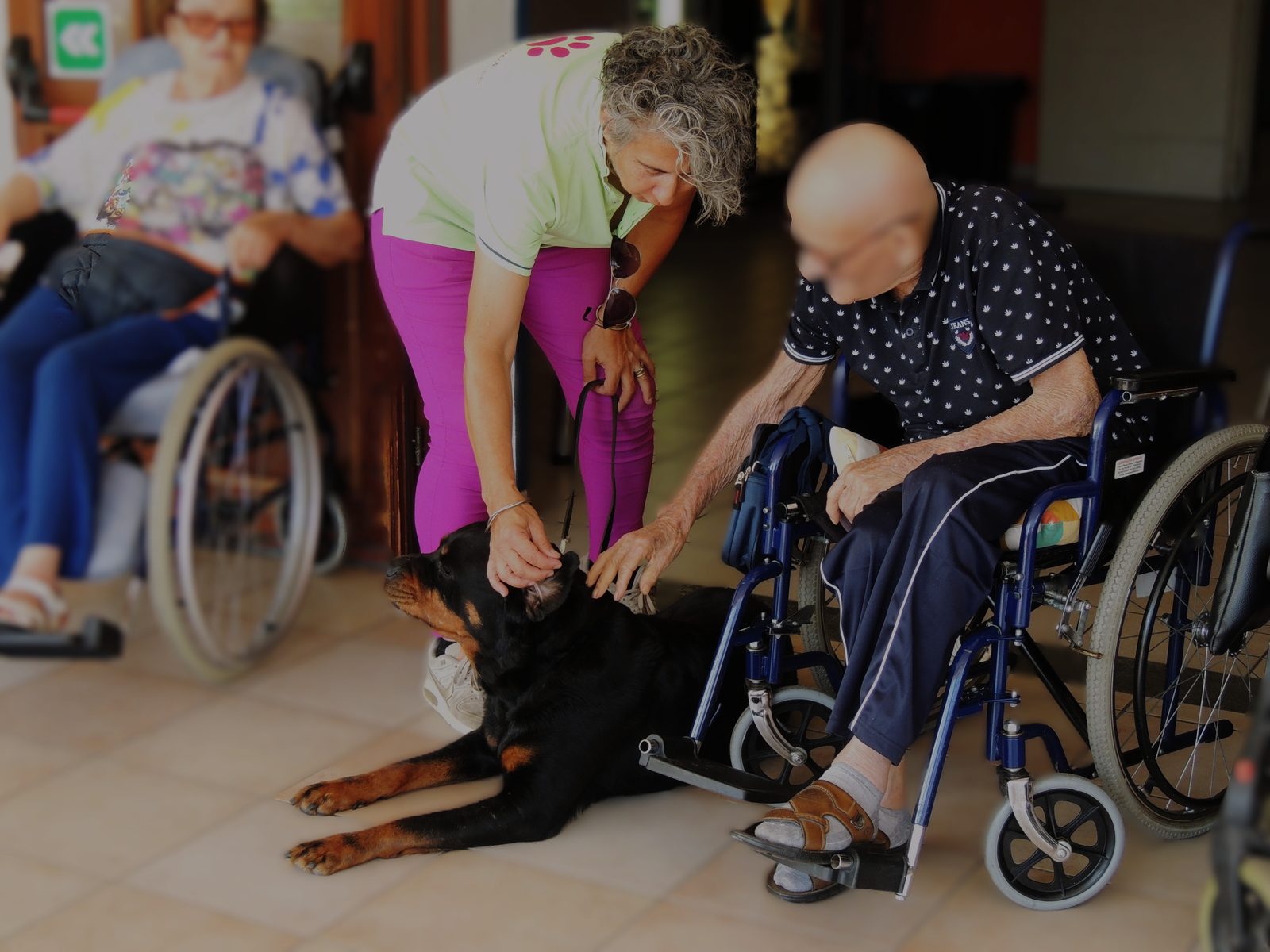Incontro con un rottweiler in una struttura per anziani