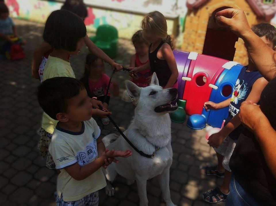 Il pastore bianco con i bambini