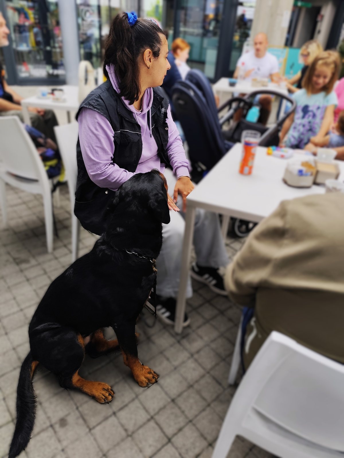 Lezione in un contesto reale, al tavolino di un bar con il cane a terra