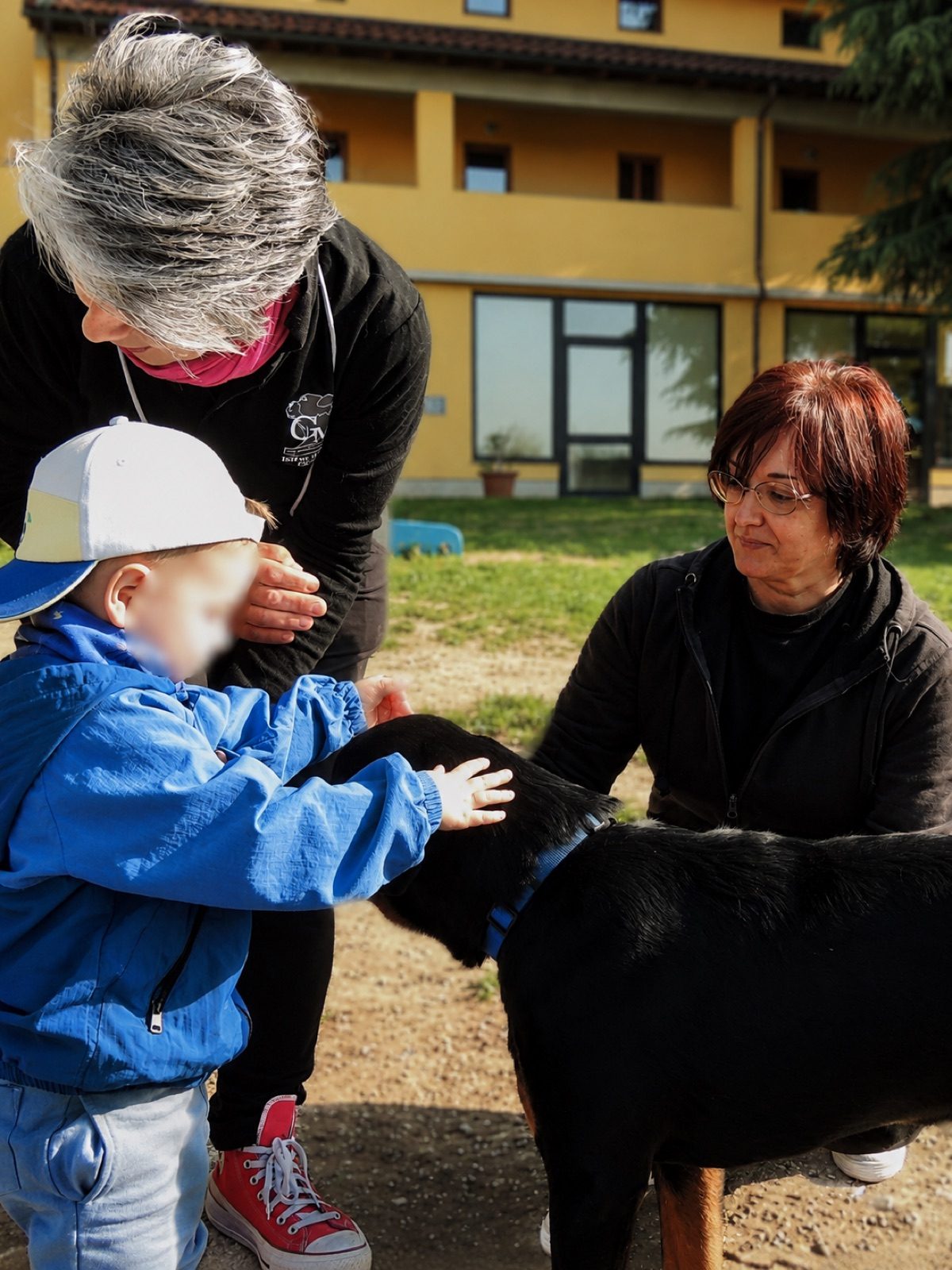 Incontro con un cucciolo di pubblico