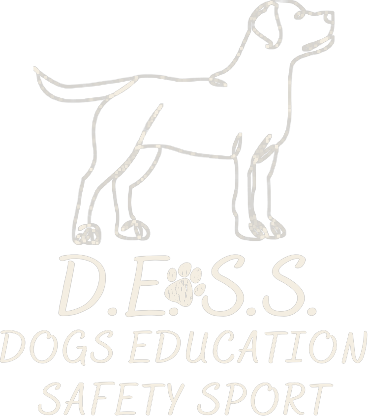 Dogs Education Safety Sport ASD APS