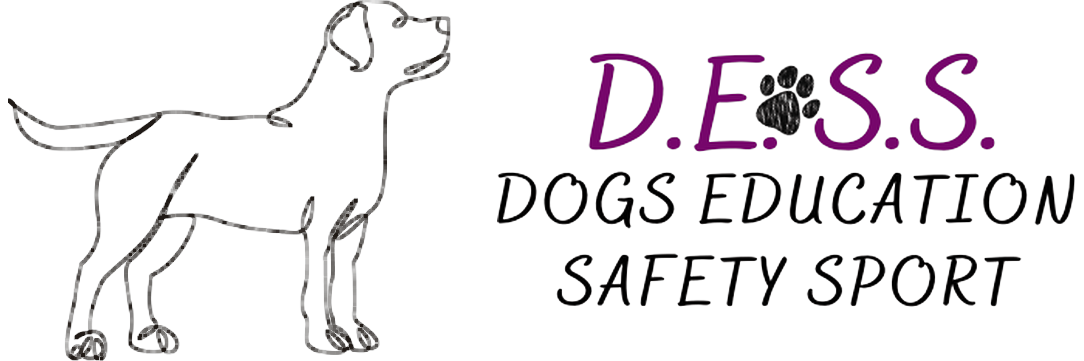 Dogs Education Safety Sport ASD APS