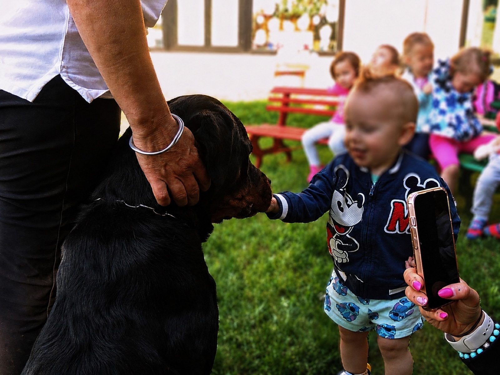 Rottweiler con un bambino