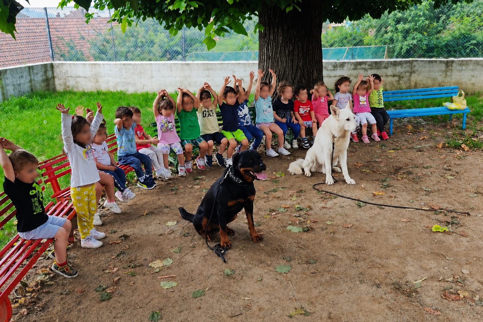 Progetto nelle scuole