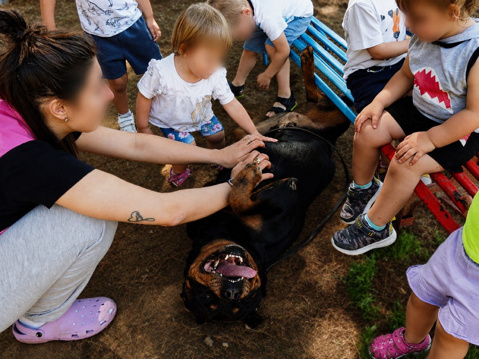 Bambini e cane