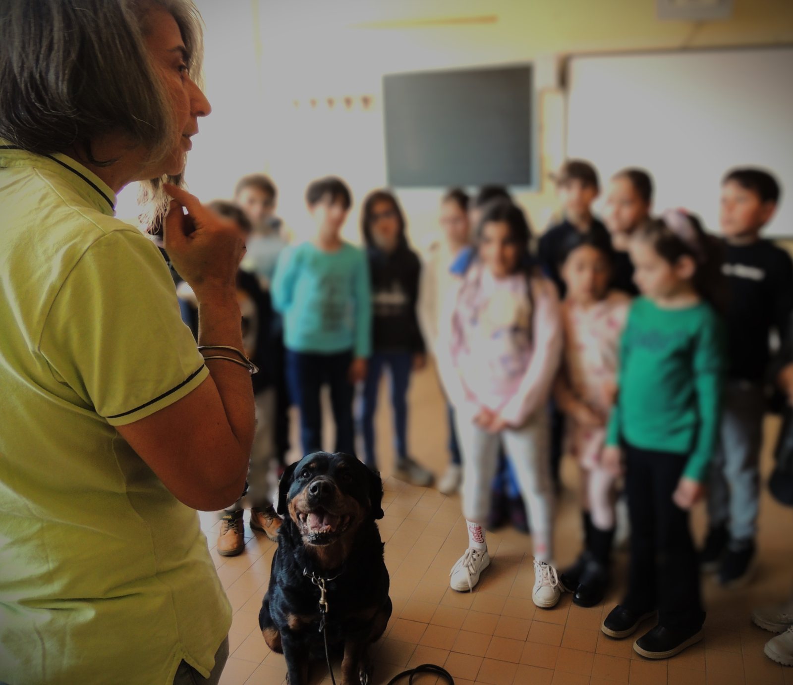 Laboratorio di educazione civica cinofila in una classe