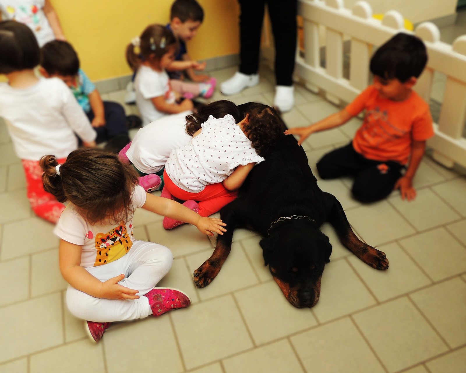 Bambini accoccolati accanto a un rottweiler disteso a terra